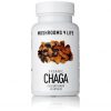 Buy Chaga Mushroom