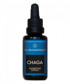 Buy Chaga Mushroom Extract