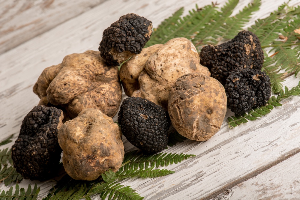 mushroom truffle